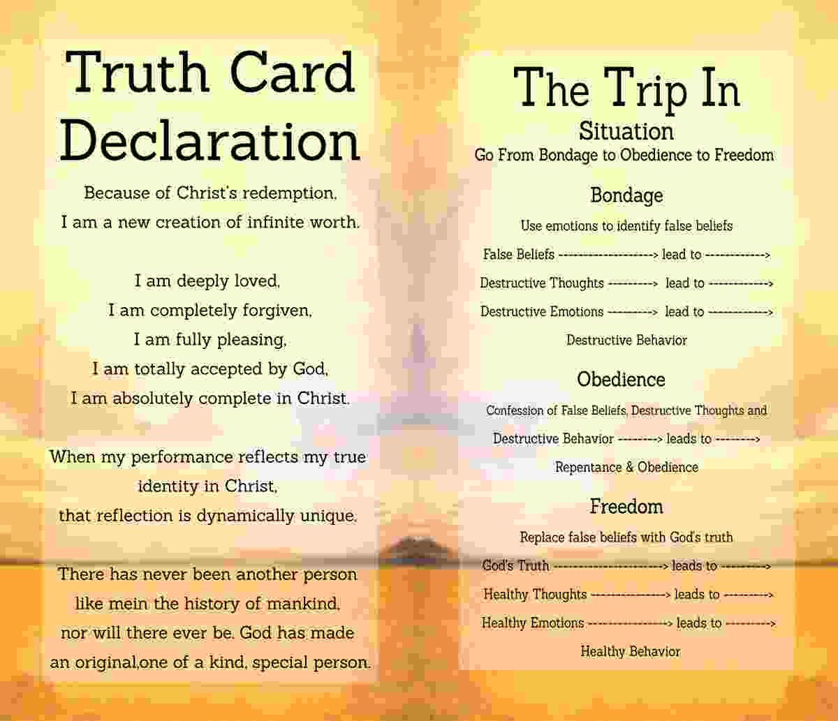 Two section of truth card declaration and trip in situation